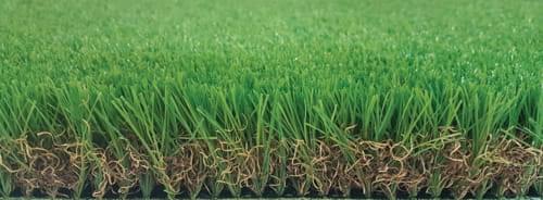 Tekgrass 50 C