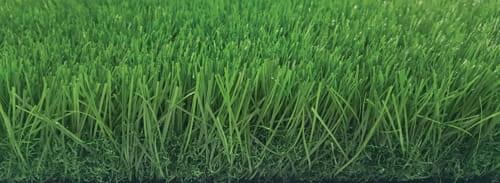 Tekgrass 60 GG